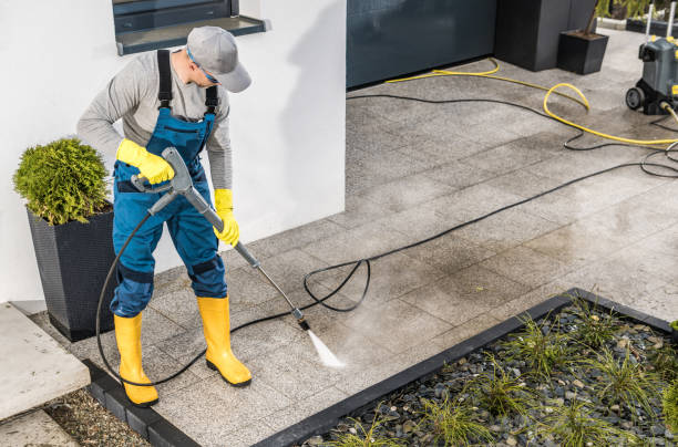Best Roof Power Washing Services  in Cheswold, DE