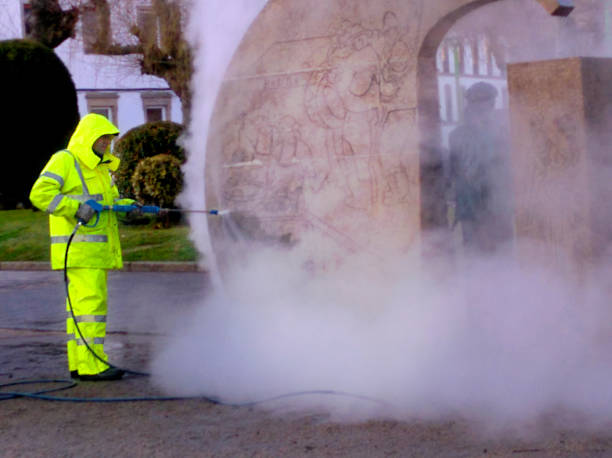 Best Pressure Washing Patio  in Cheswold, DE