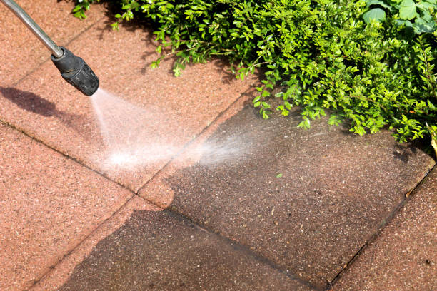 Best Best Pressure Washing Companies  in Cheswold, DE