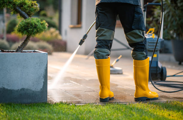 Best Power Washing Near Me  in Cheswold, DE